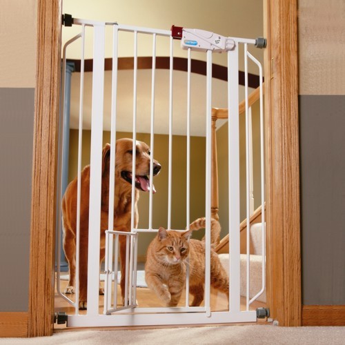 Extra Tall Walk Thru Metal Gate With Small Pet Door Extra Tall Walk Thru Metal Gate With Small Pet Door