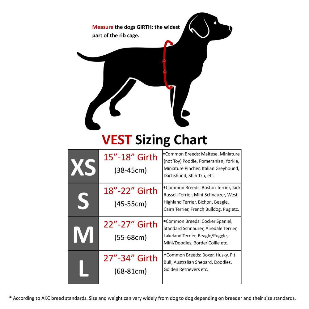 Boston Terrier Size Chart