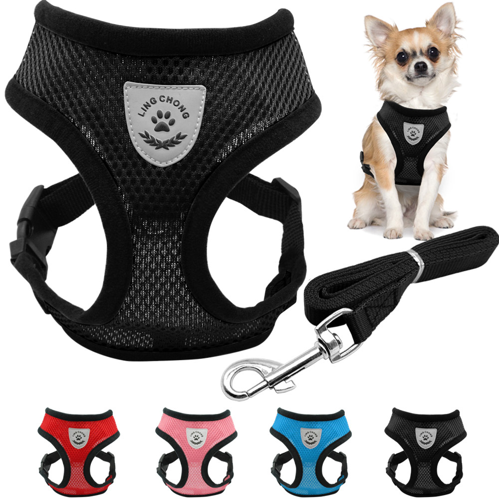 Breathable Mesh Dog Harness and Leash Set