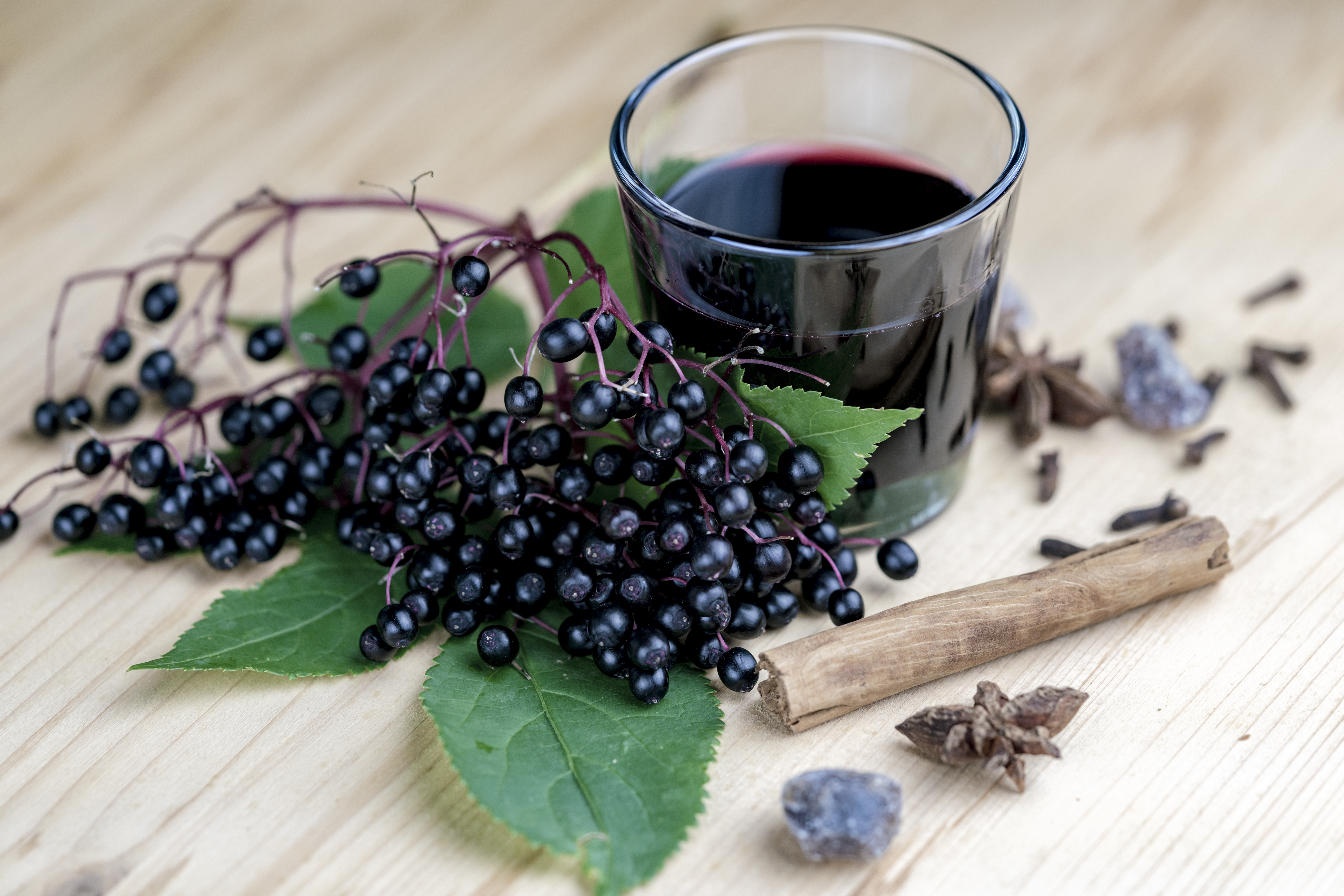 yns-elderberry-shot.jpg