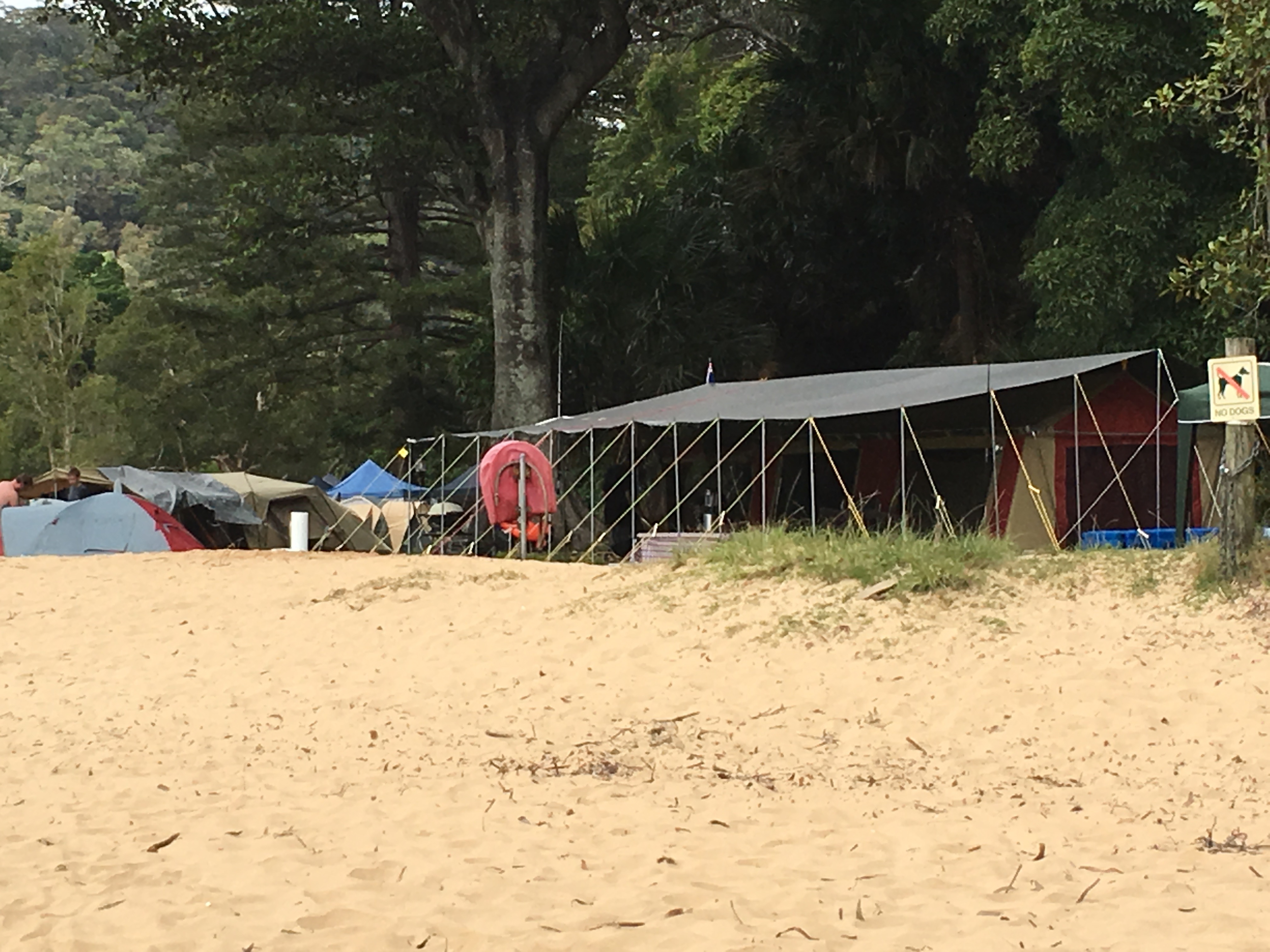 Tarp Tips 19 Essential tarp setup components? CampKings Australia