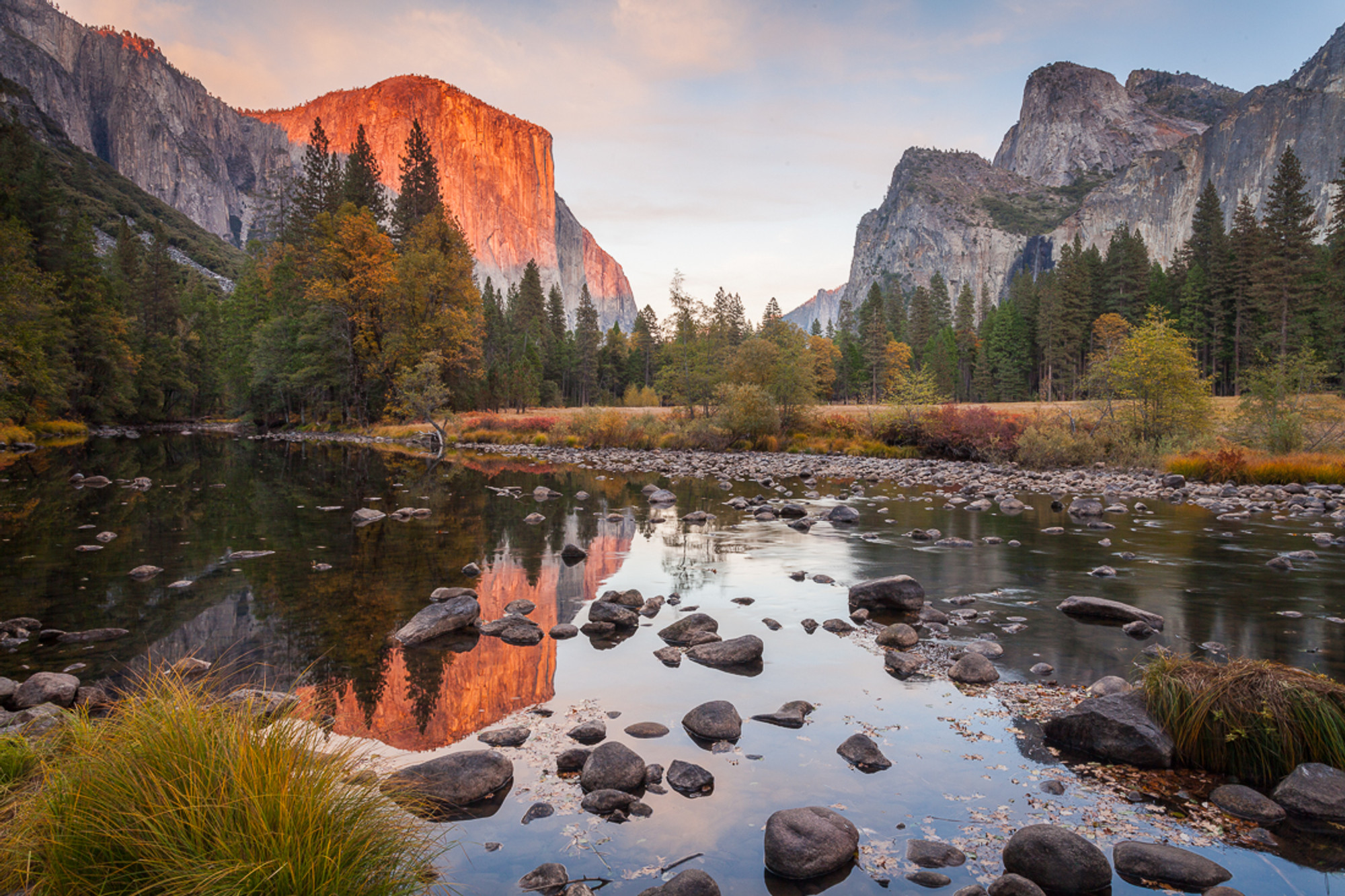 Nature Review Rss Nature Review Rss