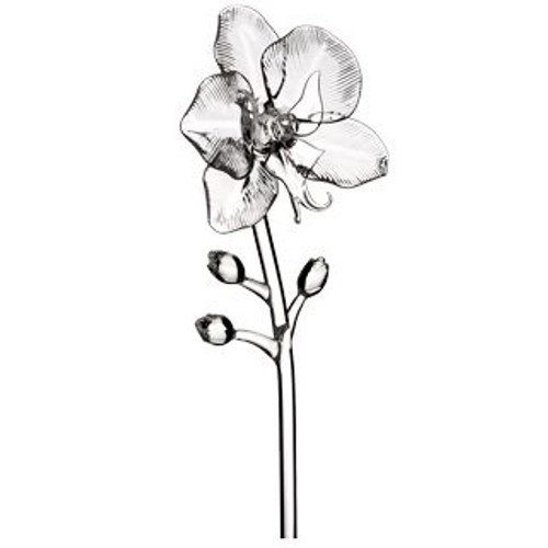 Waterford Fleurology Flower Orchid