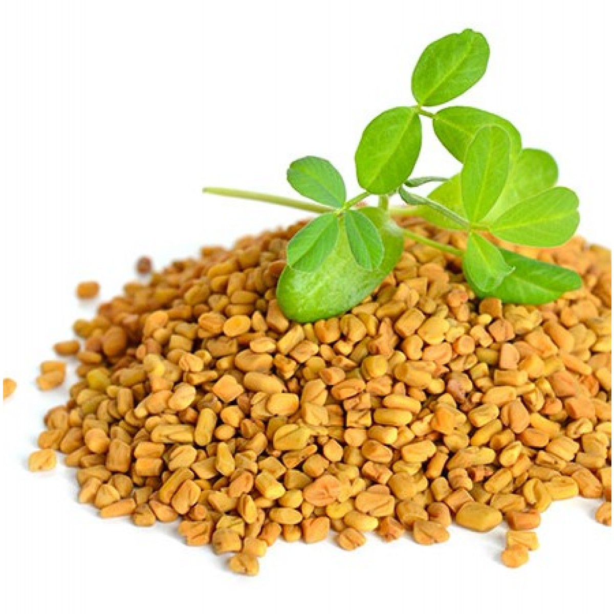 methi-seed.jpg