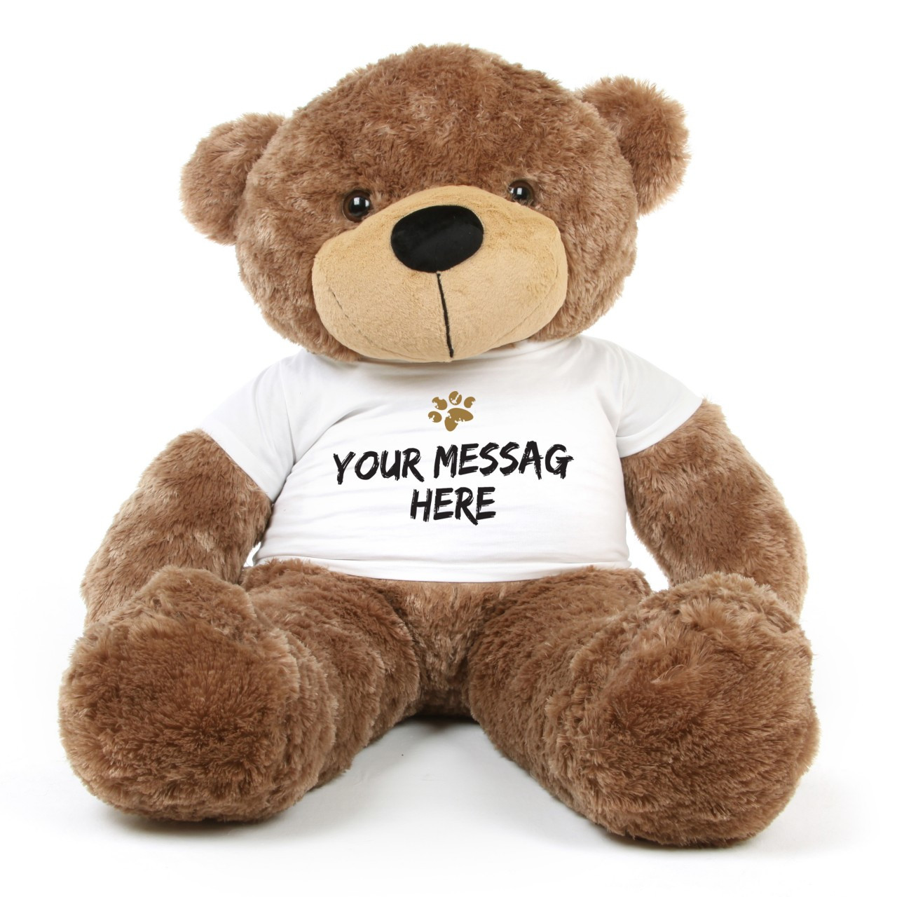 big teddy bear personalized