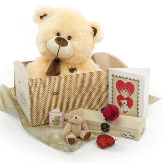 Love Doctor Bear Hug Care Package Featuring 20 Booboo Shags