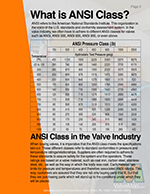 Ansi standards