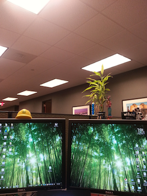 Carol's workspace features bright fluorescent lighting and a double-monitor setup that caused her significant pain before she got her TheraSpecs.