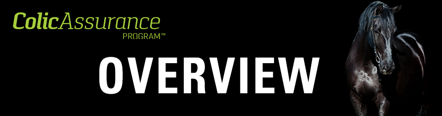 overview-banner-12-22-16.jpg overview-banner-12-22-16.jpg