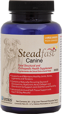 Steadfast Canine