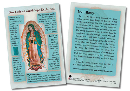 our-lady-of-guadalupe-explained-poster-catholic-to-the-max-online-catholic-store