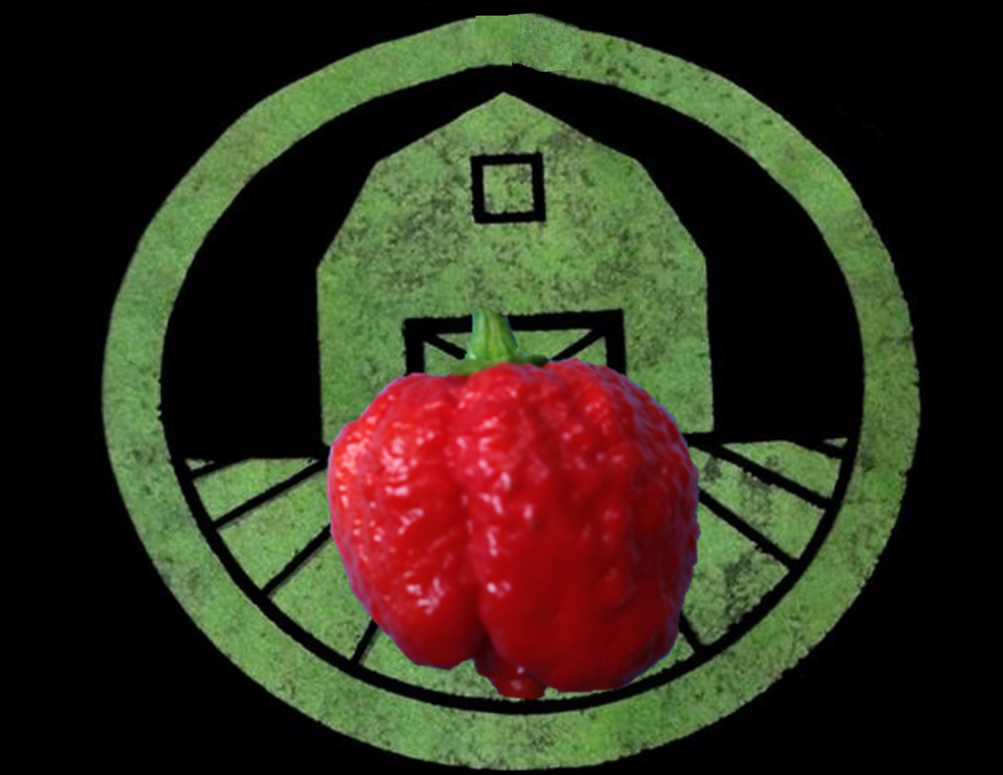 7 Pot Brain Strain Pepper | Tyler Farms 7 Pot Brain Strain Pepper | Tyler Farms