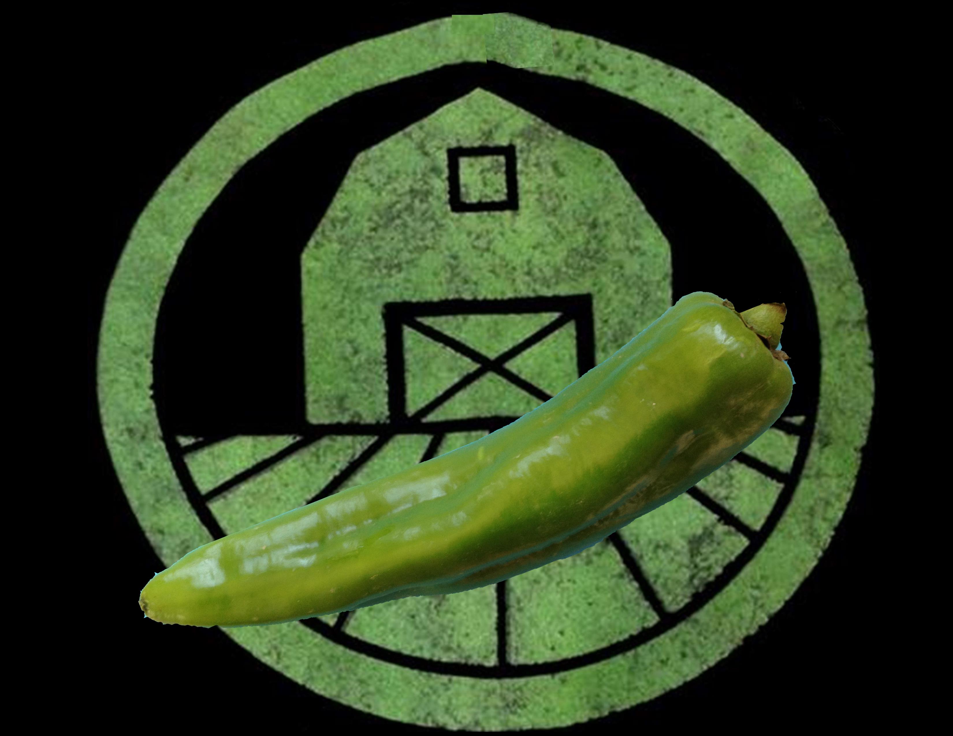 Anaheim Pepper | Tyler Farms Anaheim Pepper | Tyler Farms