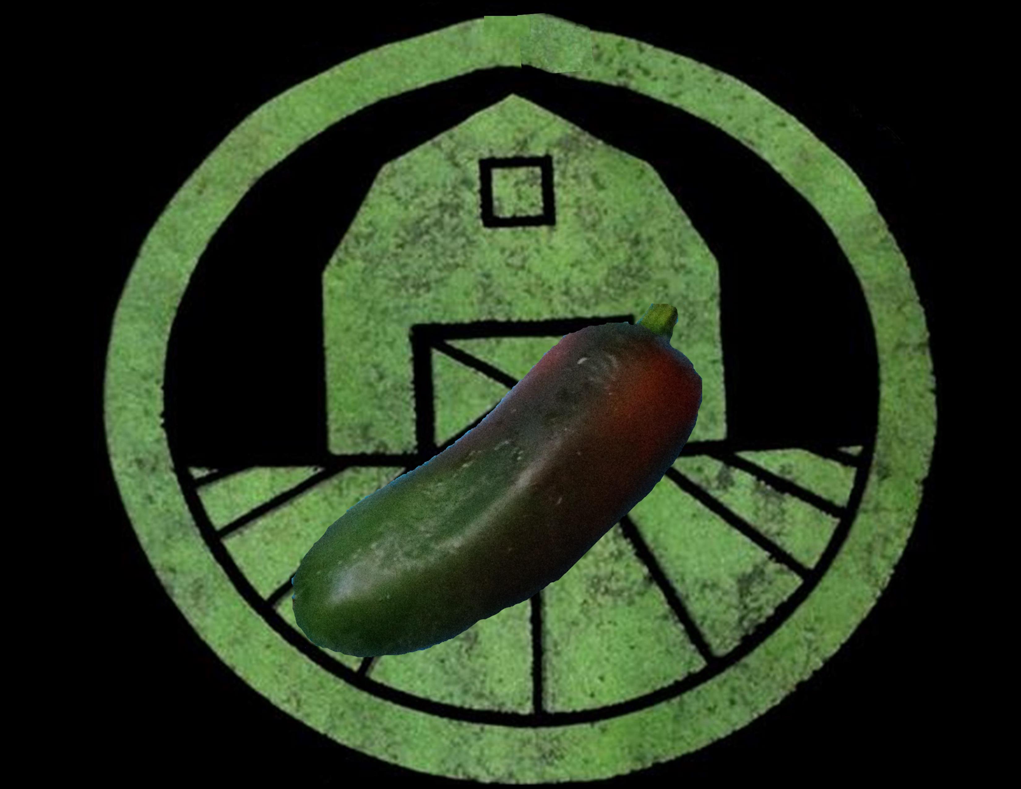 Billy Biker Jalapeno Pepper | Tyler Farms Billy Biker Jalapeno Pepper | Tyler Farms