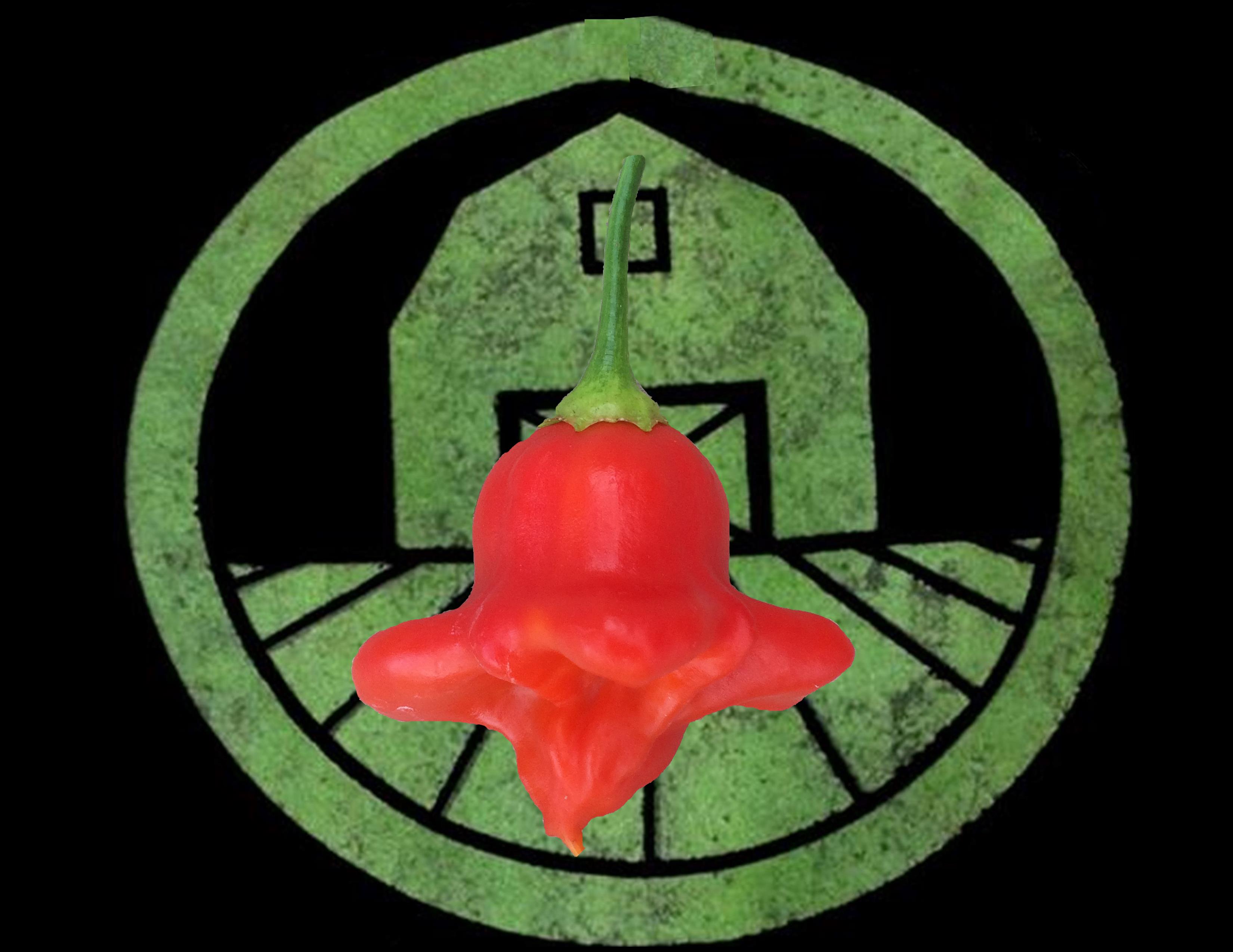 Bishop's Crown Pepper | Tyler Farms Bishop's Crown Pepper | Tyler Farms