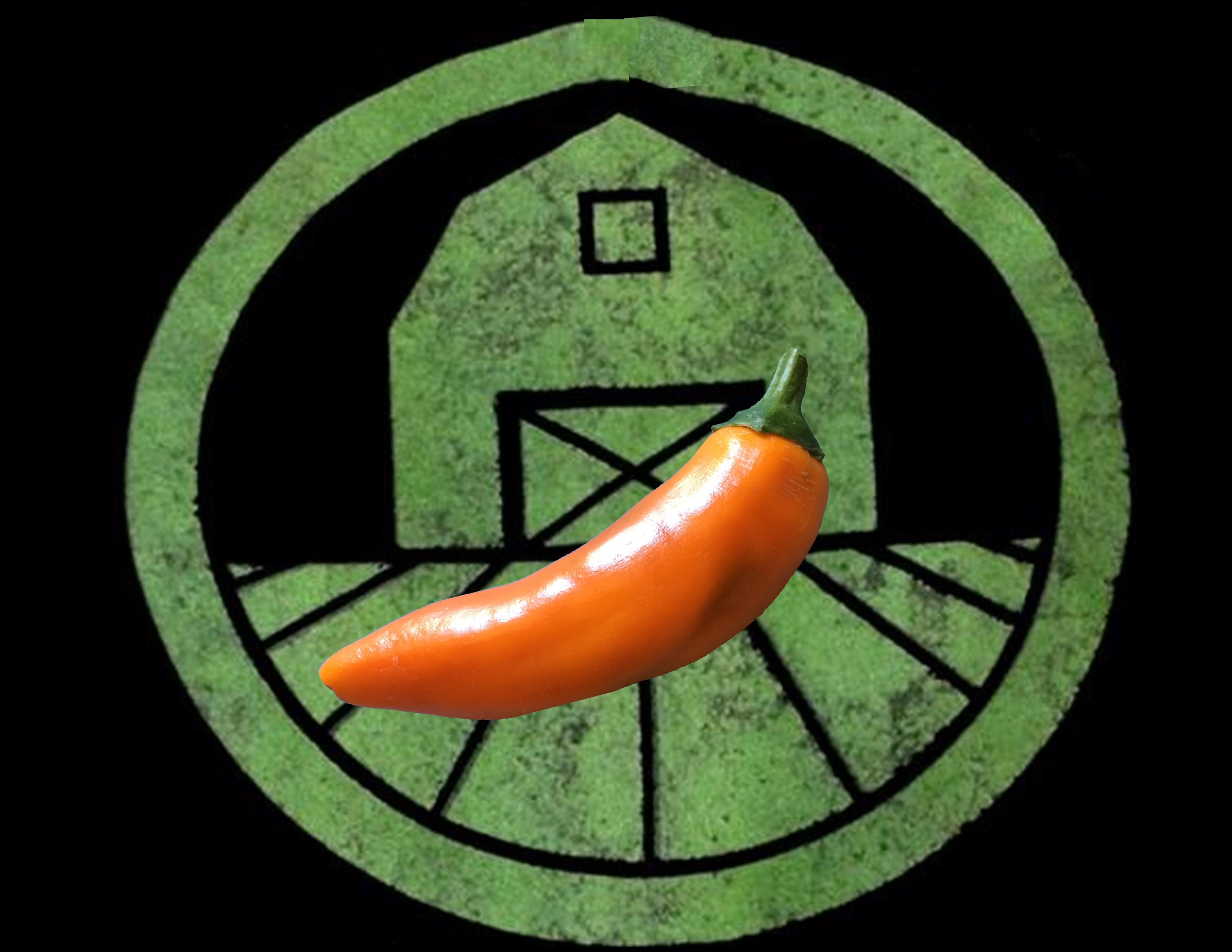 Bulgarian Carrot Pepper | Tyler Farms Bulgarian Carrot Pepper | Tyler Farms