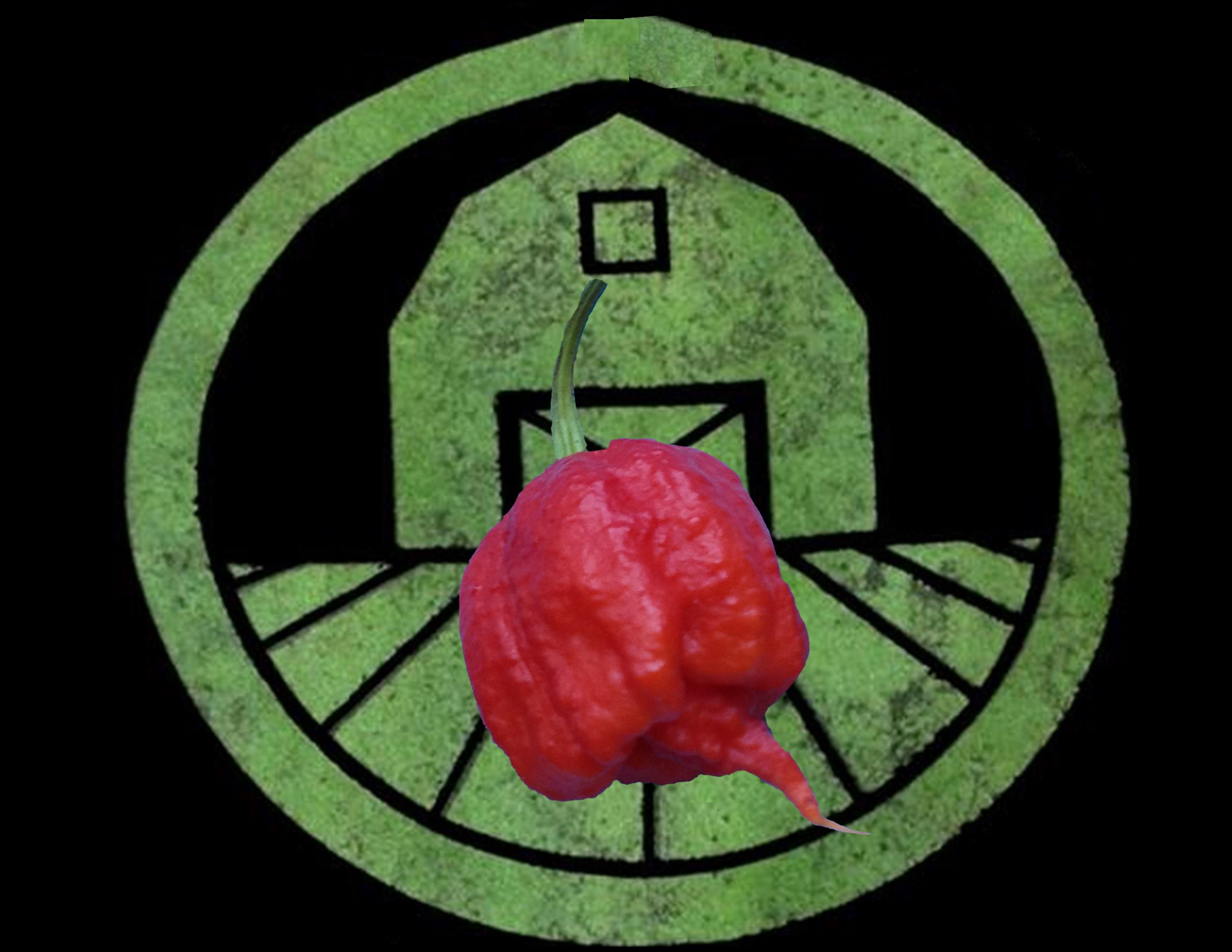 carolina-reaper-hottest-pepper-in-the-world-tyler-farms-organic-seed-company-1-.jpg carolina-reaper-hottest-pepper-in-the-world-tyler-farms-organic-seed-company-1-.jpg