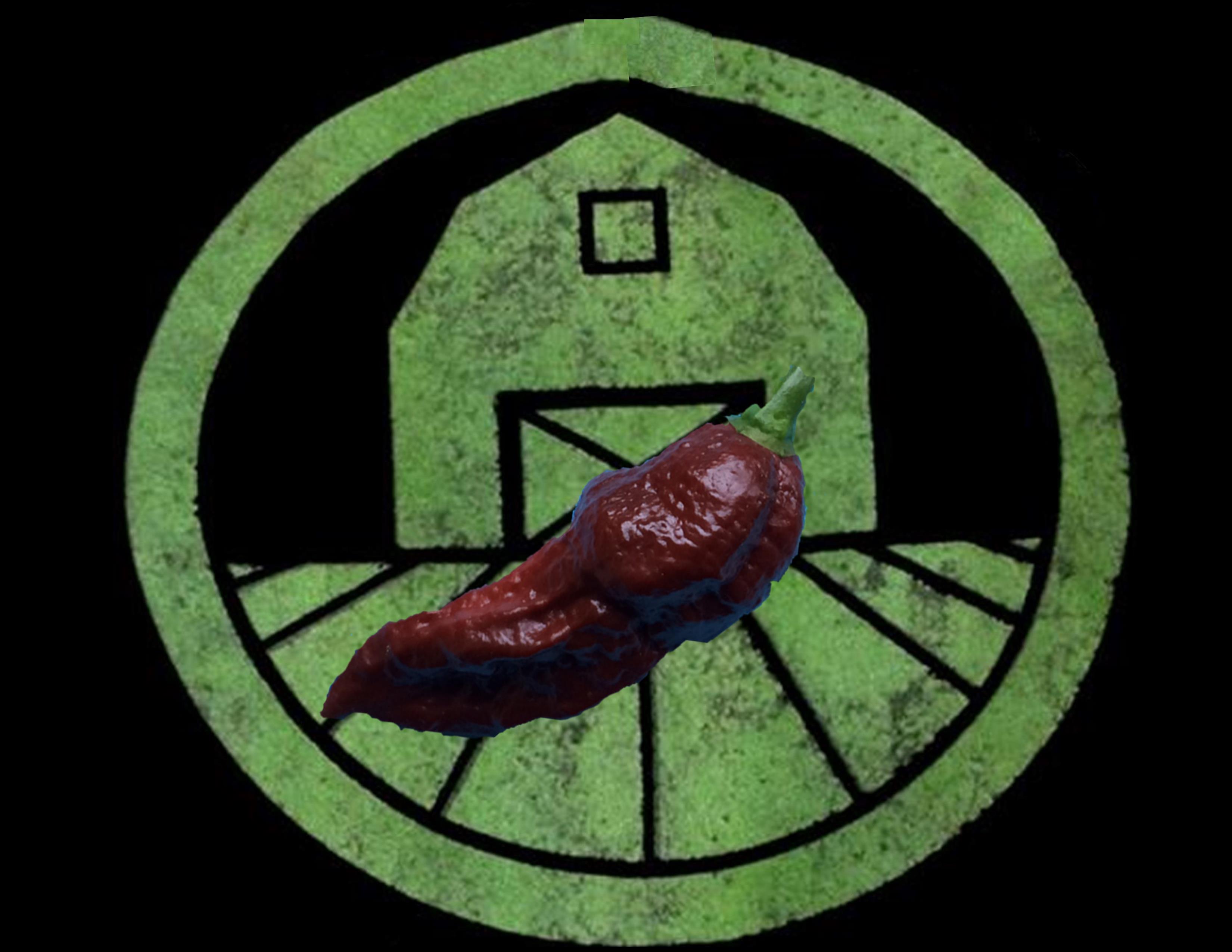 Chocolate Ghost Pepper (Brown Bhut Jolokia) | Tyler Farms Chocolate Ghost Pepper (Brown Bhut Jolokia) | Tyler Farms