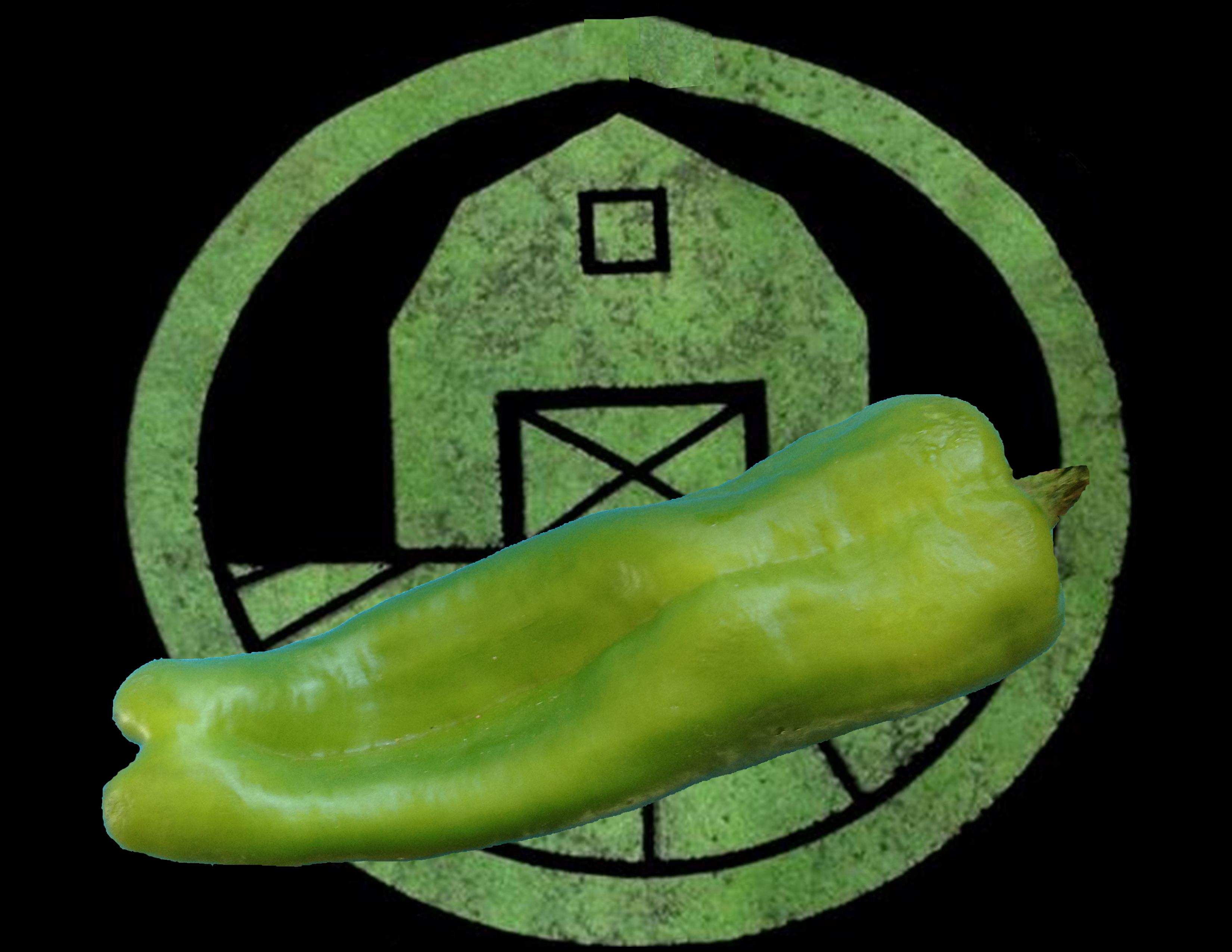 Cubanelle Pepper | Tyler Farms Cubanelle Pepper | Tyler Farms