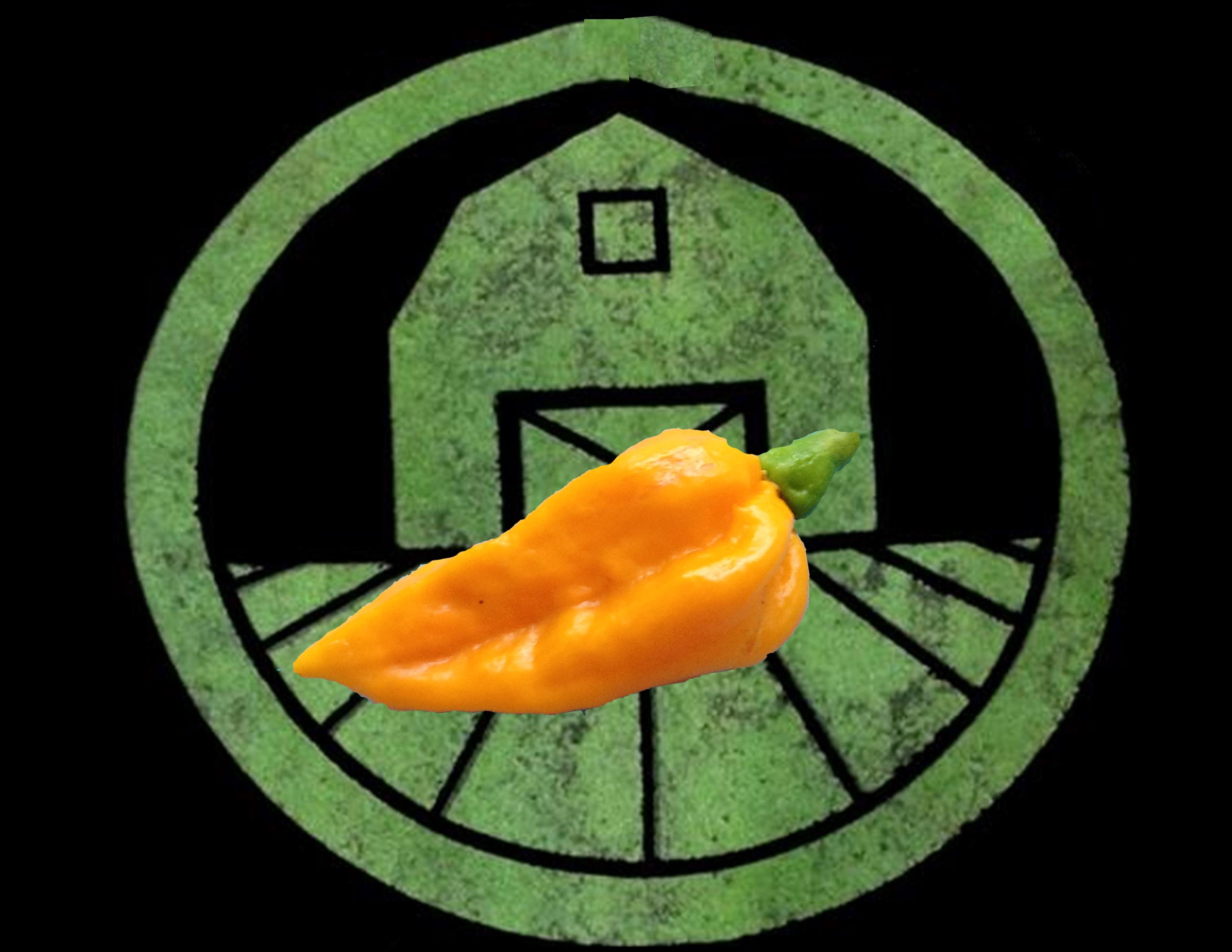 Fatalii Pepper | Tyler Farms Fatalii Pepper | Tyler Farms