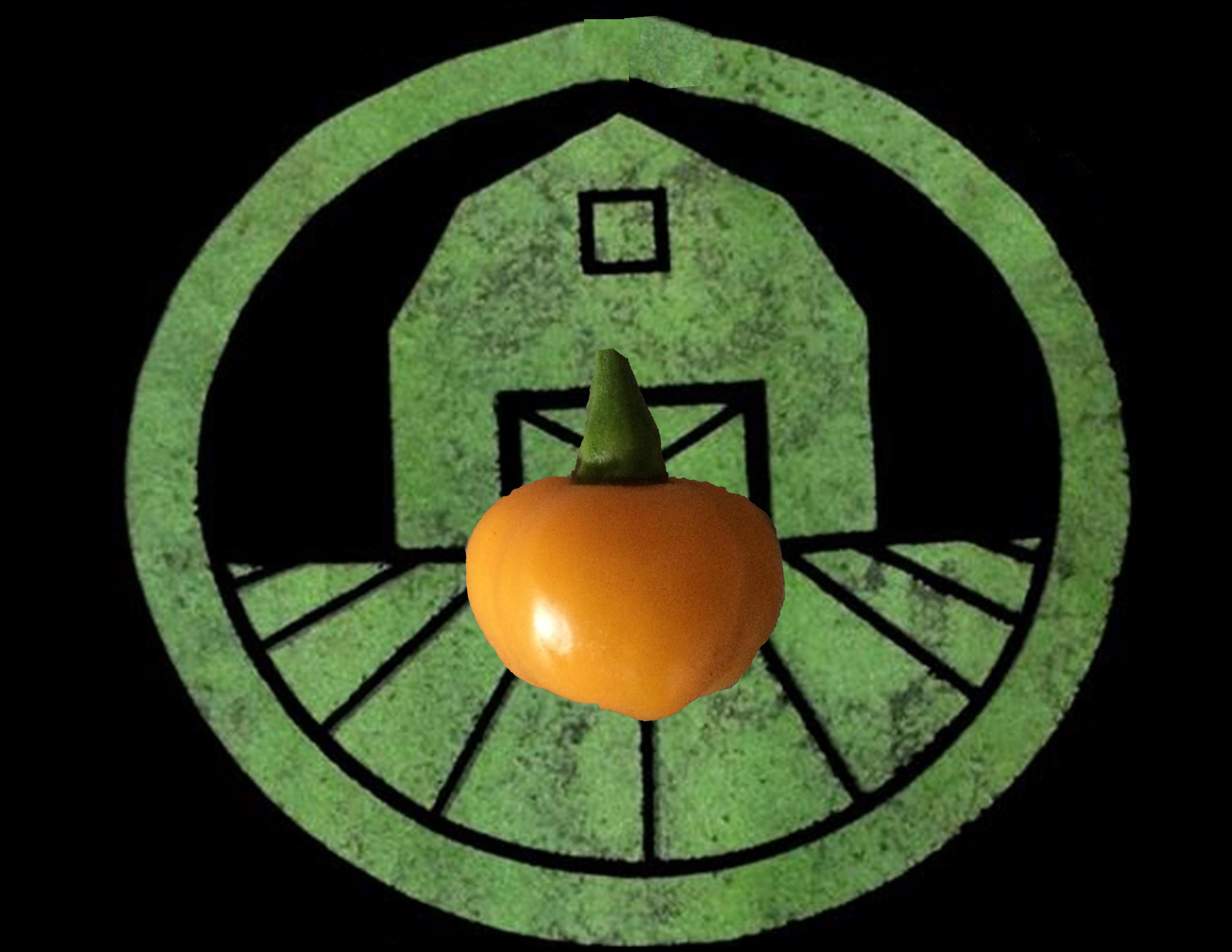 Fireball Habanero Pepper | Tyler Farms Fireball Habanero Pepper | Tyler Farms