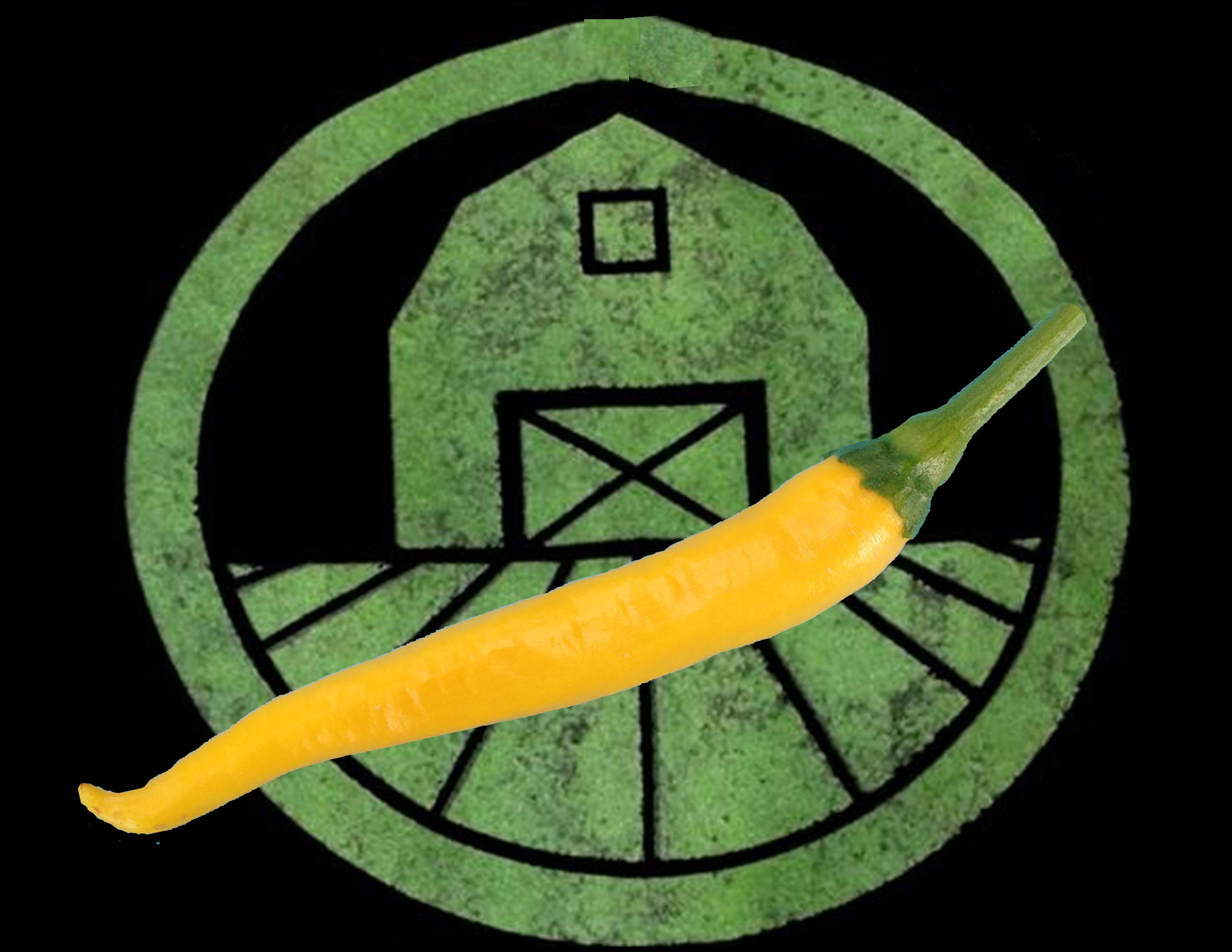 Golden Cayenne Pepper | Tyler Farms Golden Cayenne Pepper | Tyler Farms