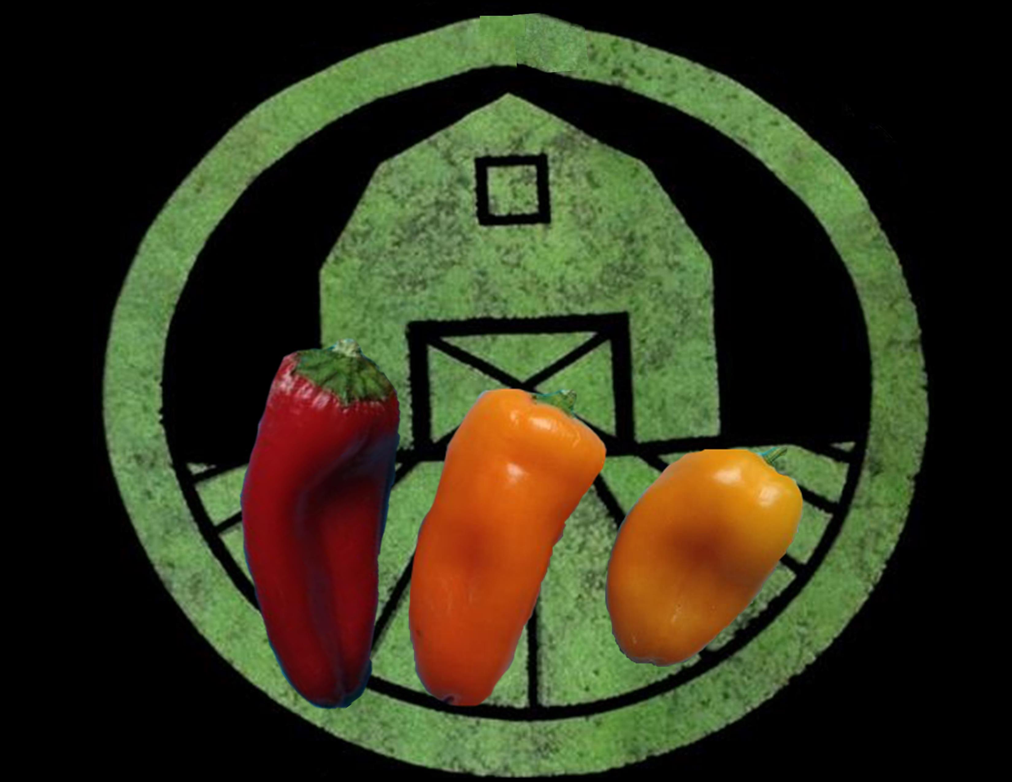 Mini Sweet Peppers | Tyler Farms Mini Sweet Peppers | Tyler Farms
