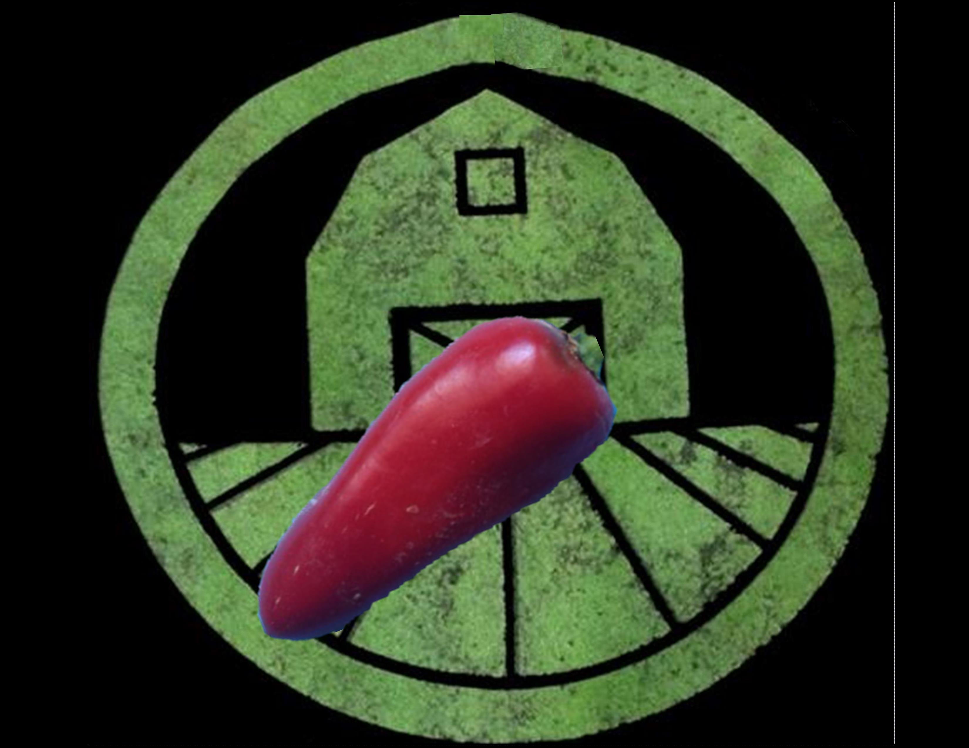 Mucho Nacho Jalapeno Pepper | Tyler Farms Mucho Nacho Jalapeno Pepper | Tyler Farms
