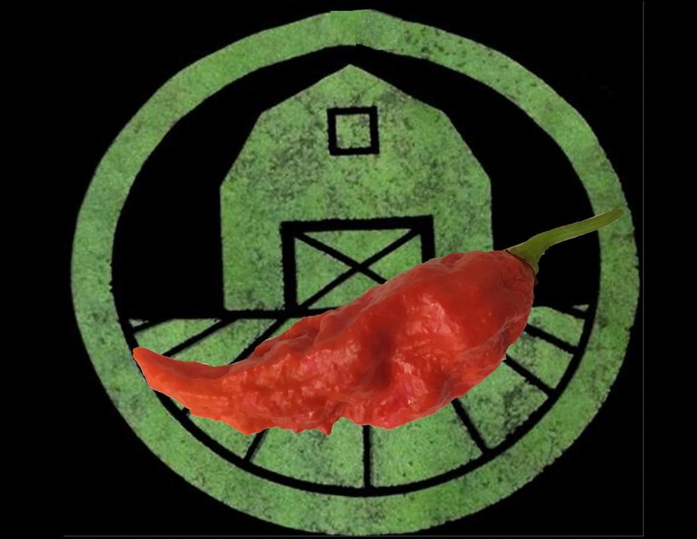 naga-morich-pepper-tyler-farms-22119.1512840606.1000.1200.jpg naga-morich-pepper-tyler-farms-22119.1512840606.1000.1200.jpg