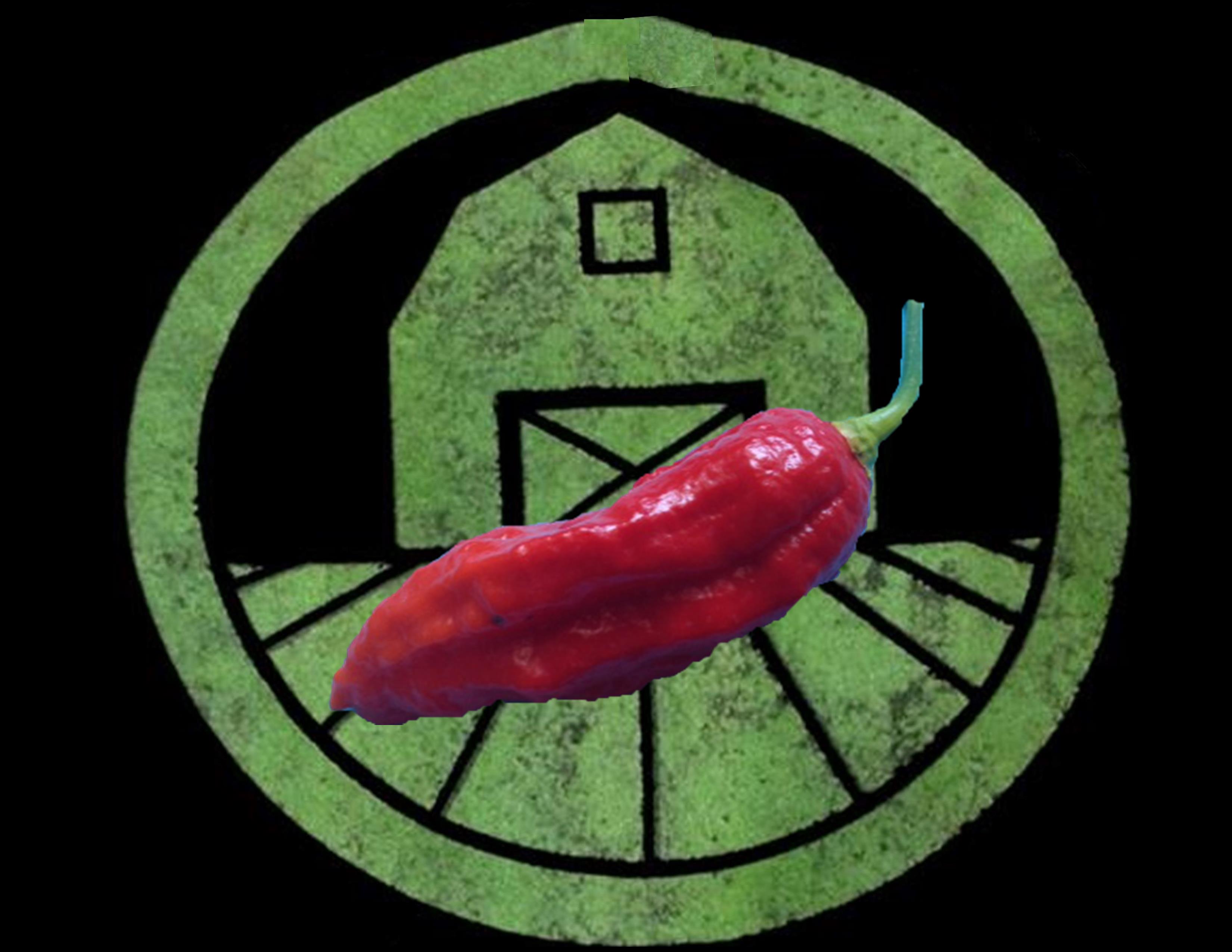 Naga Viper Pepper | Tyler Farms Naga Viper Pepper | Tyler Farms