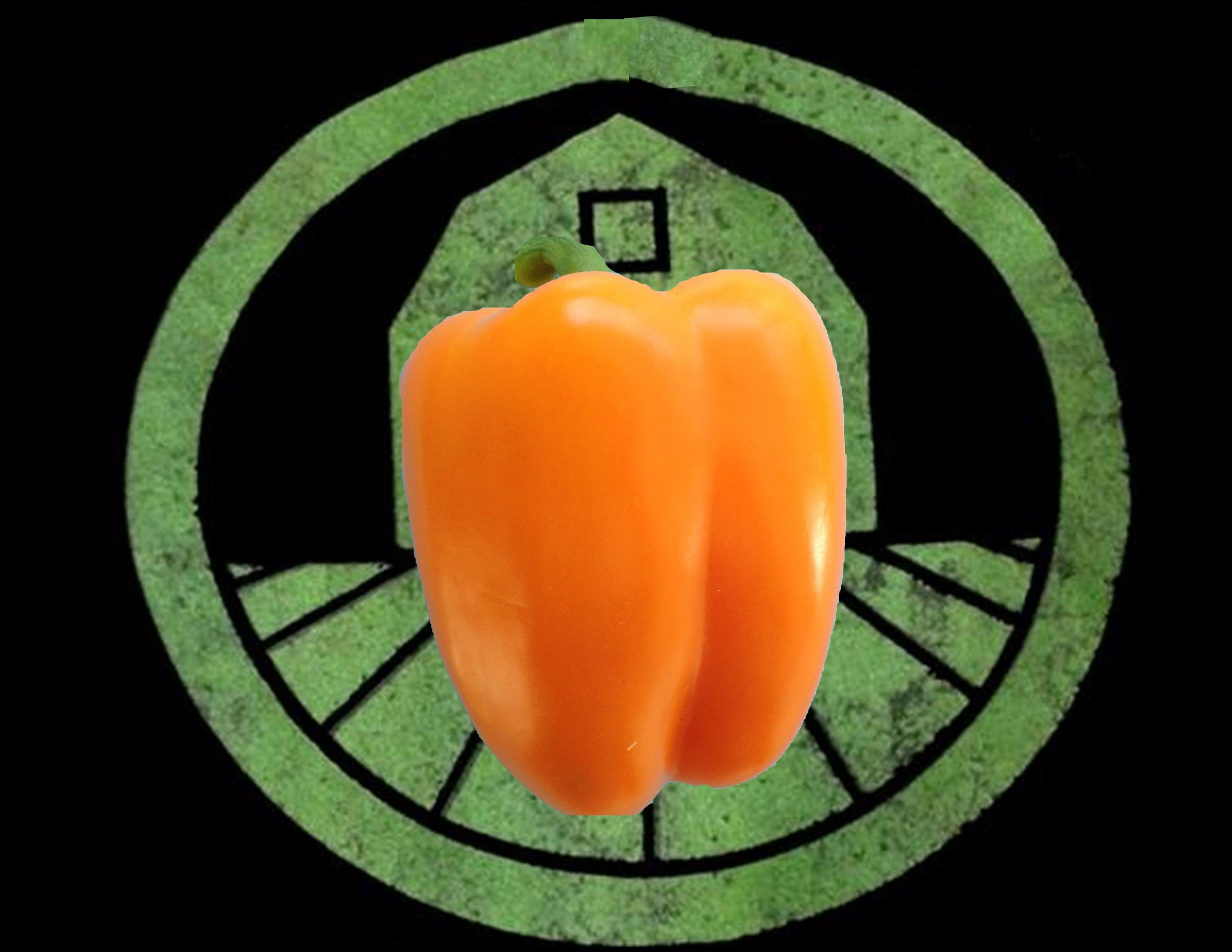 Orange Bell Pepper | Tyler Farms Orange Bell Pepper | Tyler Farms