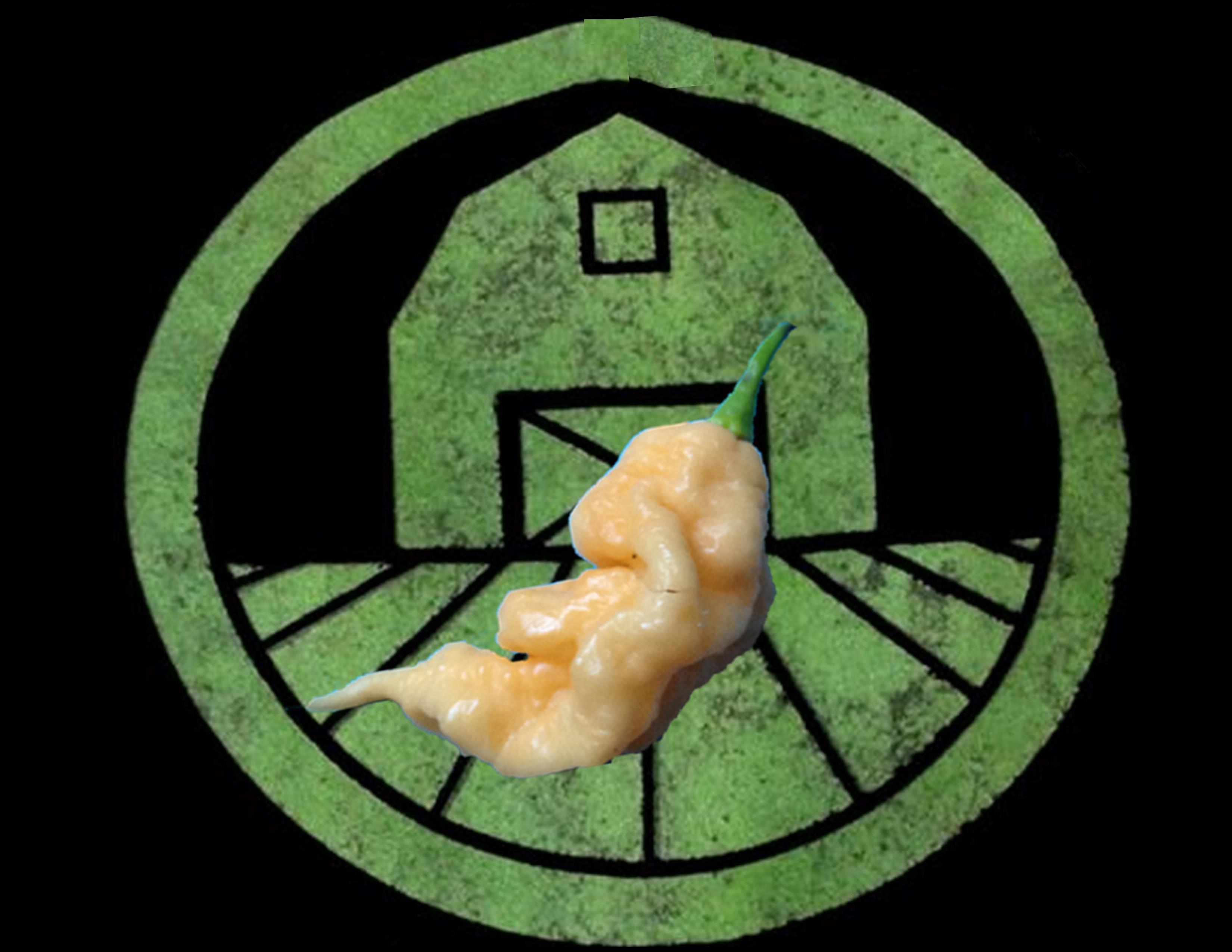 Peach Ghost Scorpion Pepper | Tyler Farms Peach Ghost Scorpion Pepper | Tyler Farms