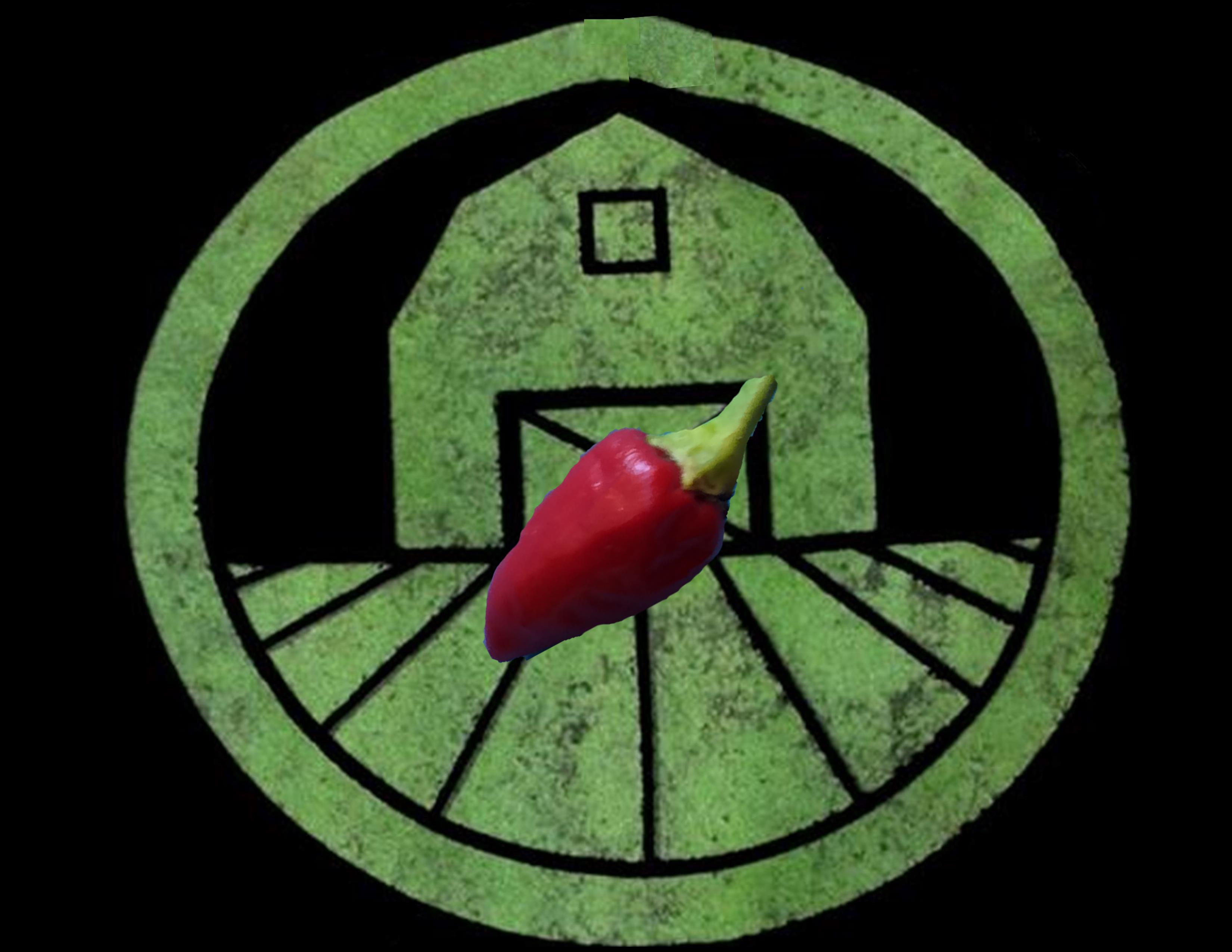 Pequin Pepper | Tyler Farms Pequin Pepper | Tyler Farms