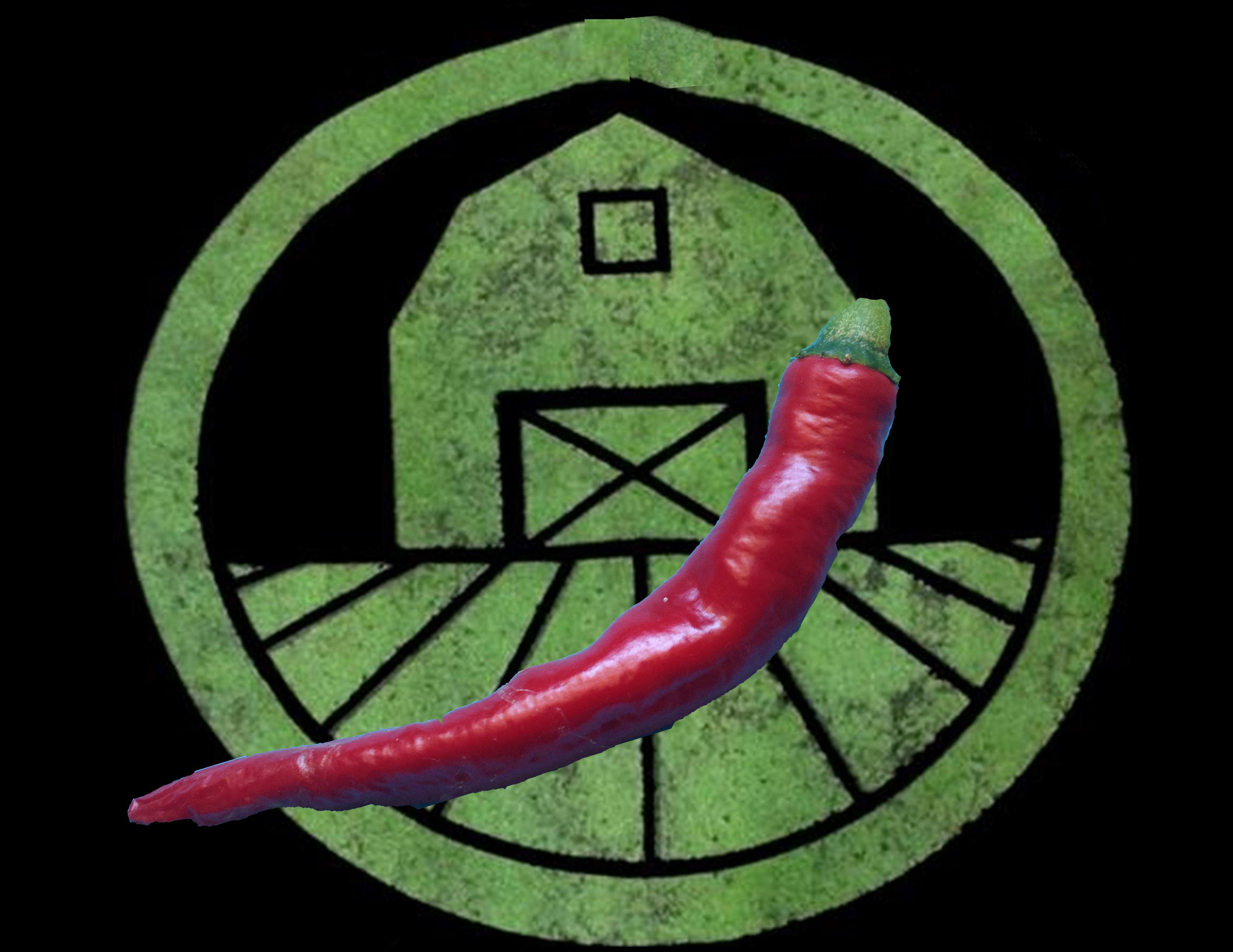 Red Cayenne Pepper | Tyler Farms Red Cayenne Pepper | Tyler Farms