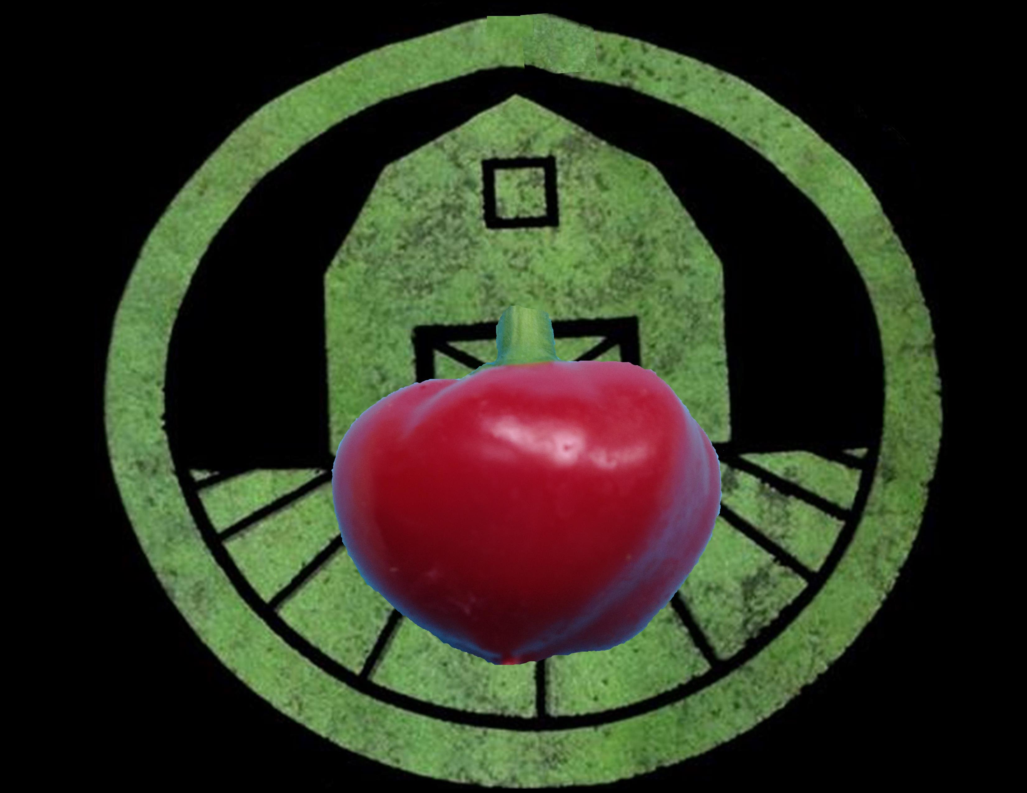 Red Cherry Bomb Pepper | Tyler Farms Red Cherry Bomb Pepper | Tyler Farms