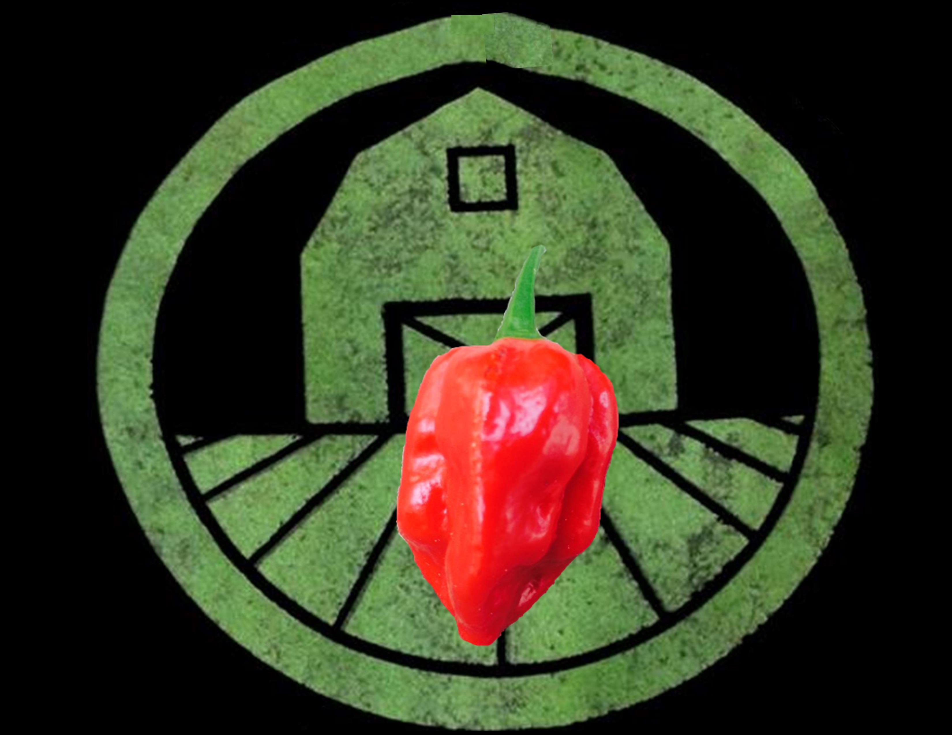 Red Savina Habanero Pepper | Tyler Farms Red Savina Habanero Pepper | Tyler Farms