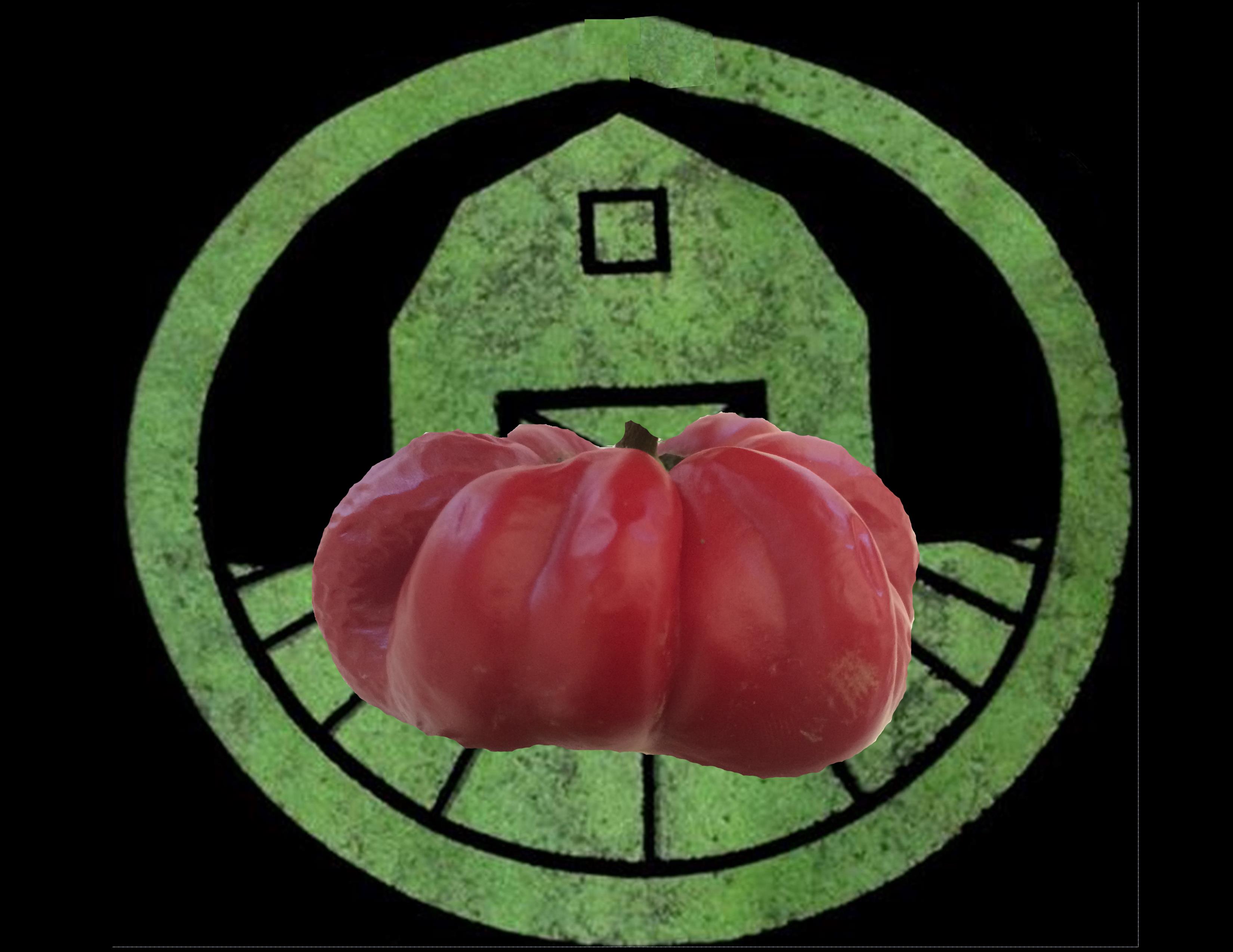 Ruffled Pimento Pepper | Tyler Farms Ruffled Pimento Pepper | Tyler Farms