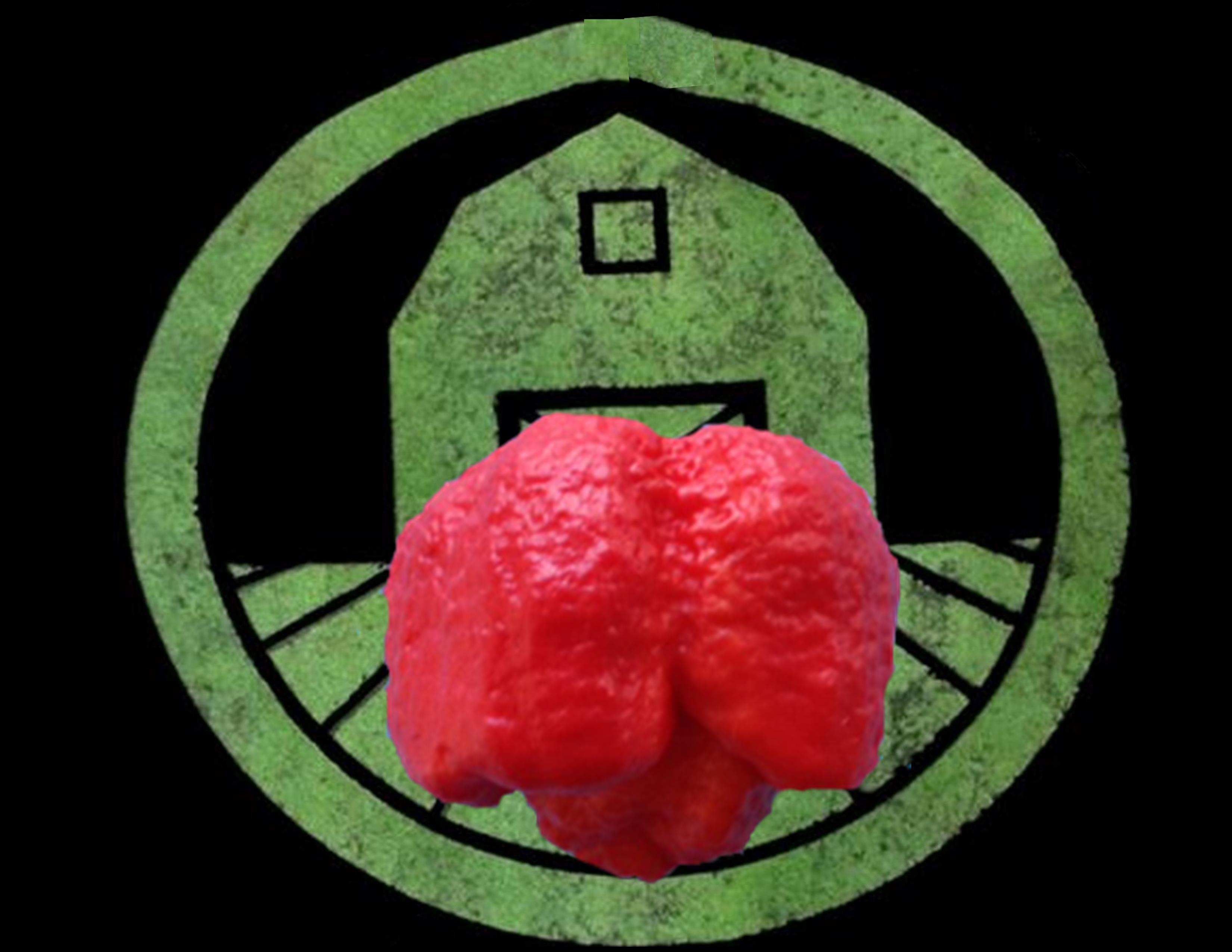 Red Trinidad Moruga Scorpion Pepper | Tyler Farms Red Trinidad Moruga Scorpion Pepper | Tyler Farms