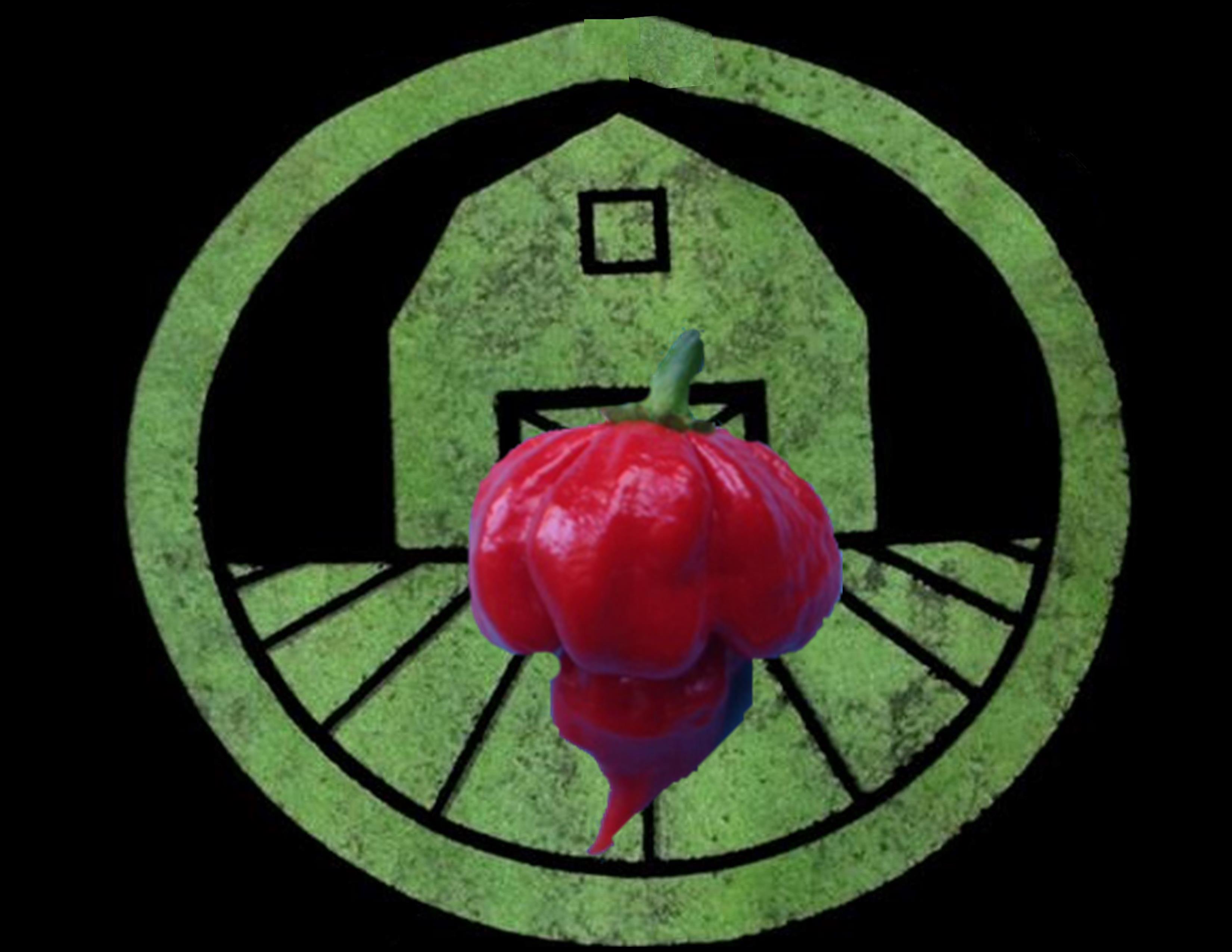 Trinidad Scorpion Butch T Pepper | Tyler Farms Trinidad Scorpion Butch T Pepper | Tyler Farms