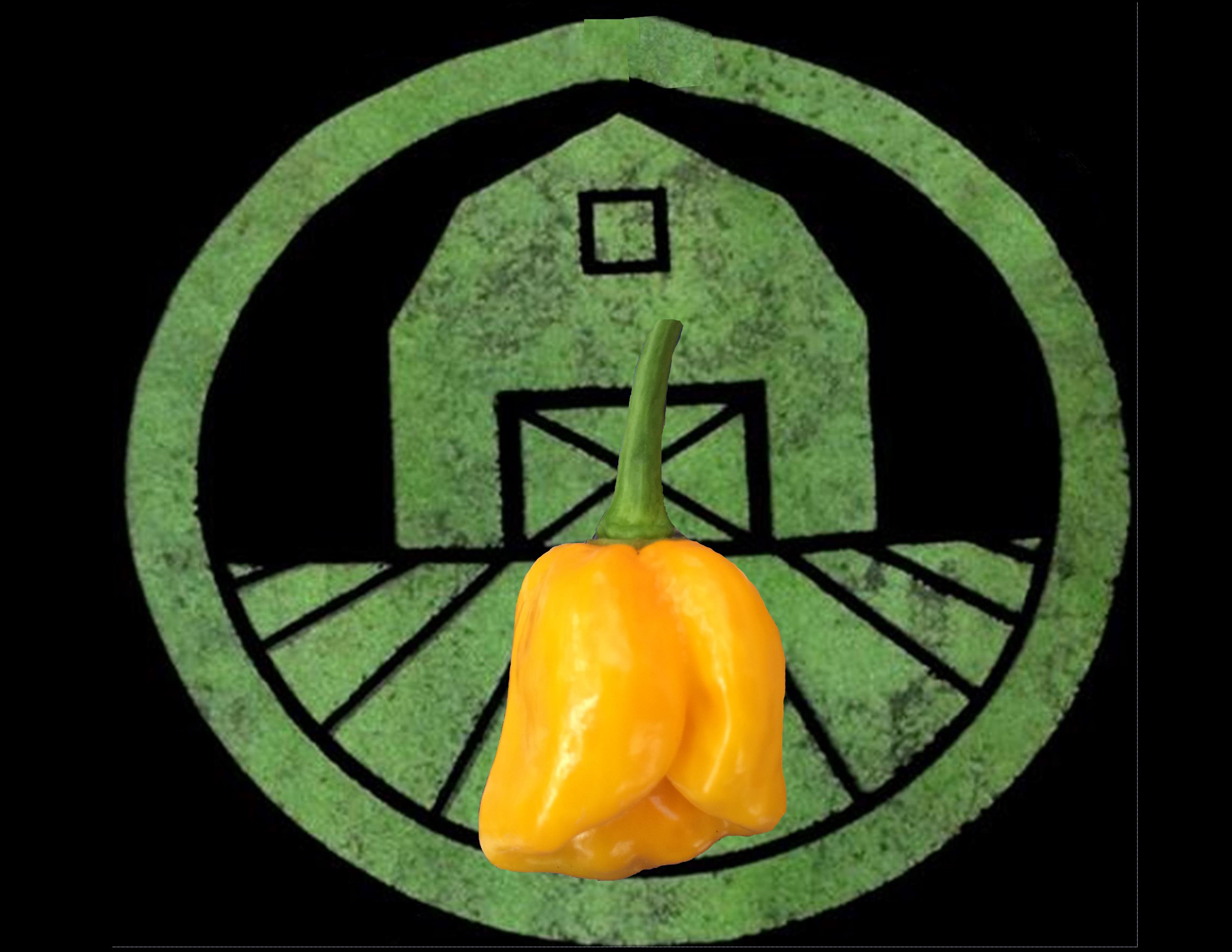 Yellow 7 Pot Pepper | Tyler Farms Yellow 7 Pot Pepper | Tyler Farms