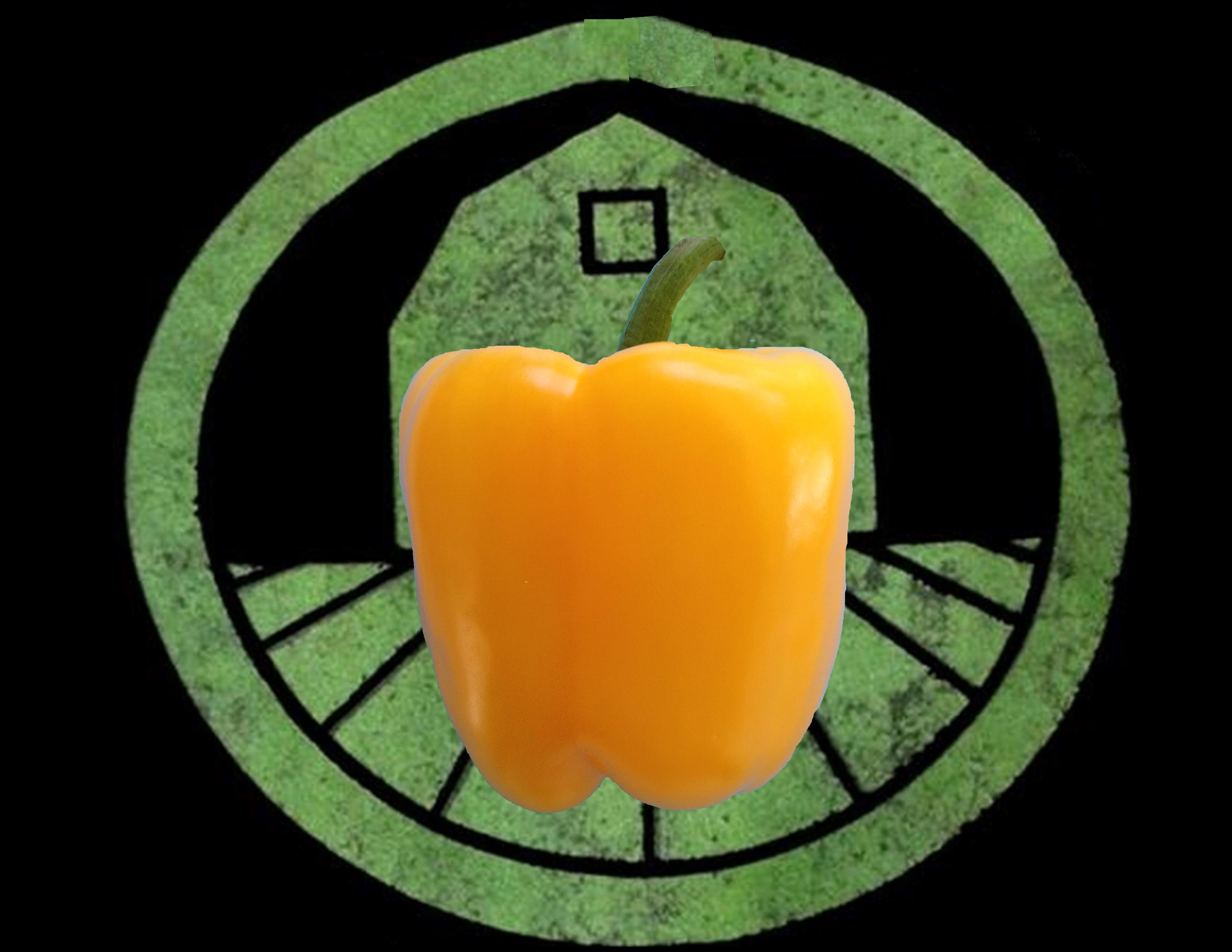 Yellow Bell Pepper | Tyler Farms Yellow Bell Pepper | Tyler Farms