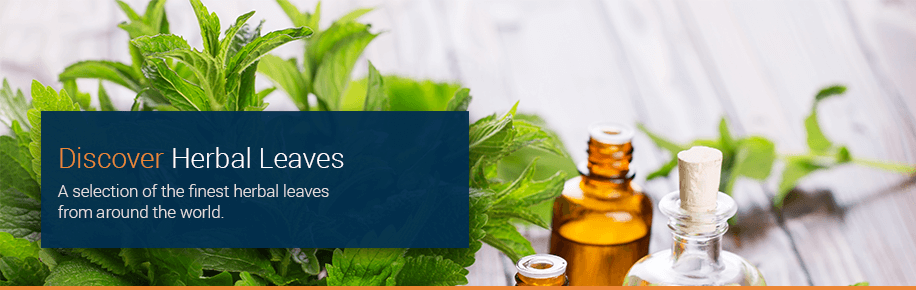 Discover Herbal Leaves Discover Herbal Leaves