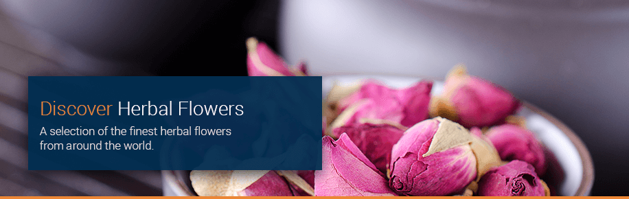 Discover Herbal Flowers Discover Herbal Flowers