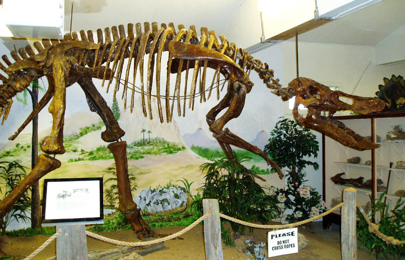 anatotitan1.jpg