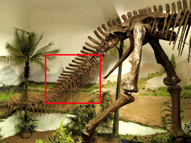 anatotitan2.jpg