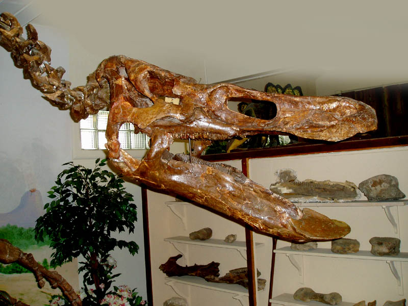 anatotitan3.jpg