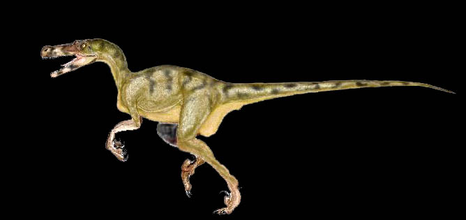dromaeosaur.jpg