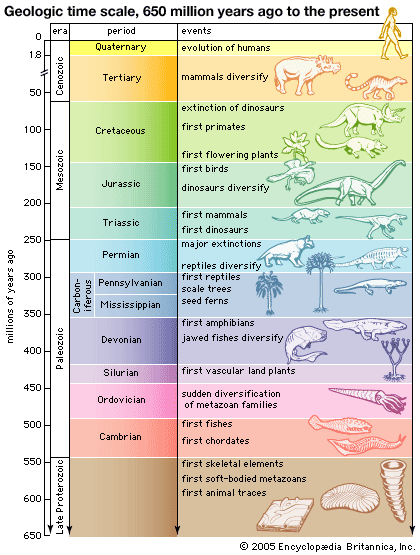 geo1.gif