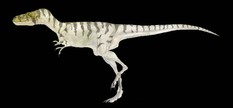 clayton phipps nanotyrannus