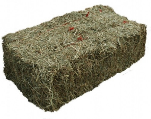 Barley Straw Bale 25 lb - Great for Algae Control